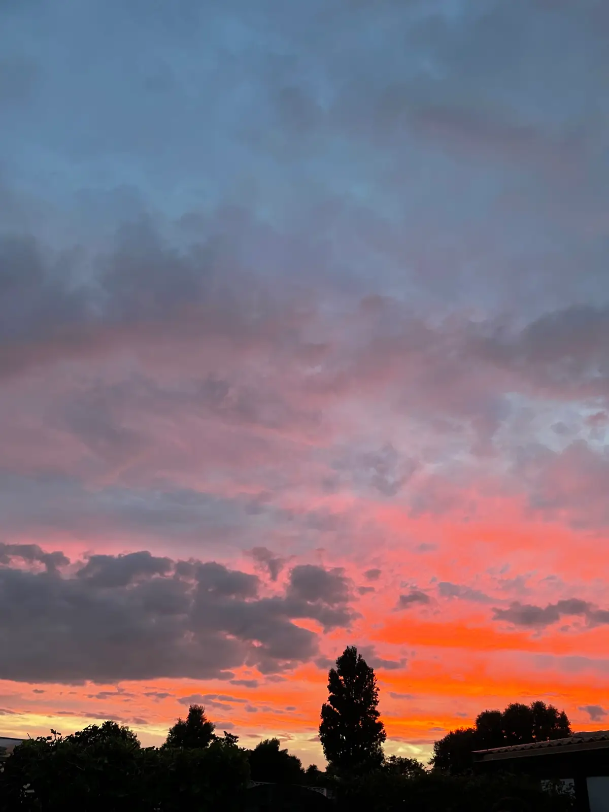 Red Sky